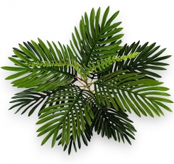 073 Veštačke palme